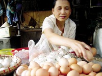 Khi nào trứng gà gây độc?