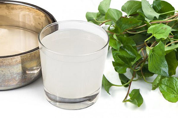 Cách trị ho bằng rau diếp cá