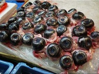 Những món ăn kỳ dị đến người dũng cảm cũng ... chùn đũa