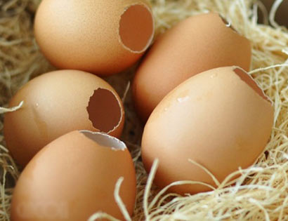 Da trắng, sạch tế bào chết với vỏ trứng kem-duong-da-tot-nhat