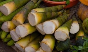 cach-bao-quan-mang-tuoi