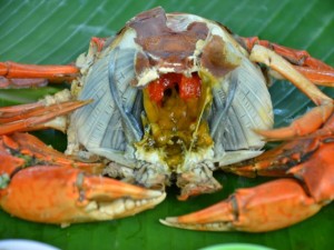 Cua biển cà mau trị bệnh liệt dương
