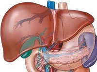 4 thực phẩm rất hại cho gan bạn vẫn ăn hàng ngày mà không biết