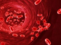 Trắc nghiệm 5 phút: Bạn có nguy cơ mắc bệnh ung thư không?