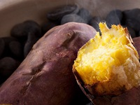 Khi đói có “chết” cũng không được ăn những thứ này