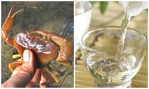 Cách chữa bệnh gout bằng cua đồng