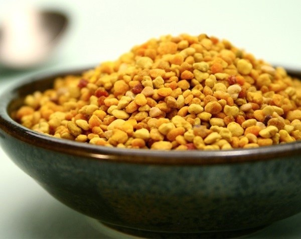 cách sử dụng cây Trinh nữ hoàng cung