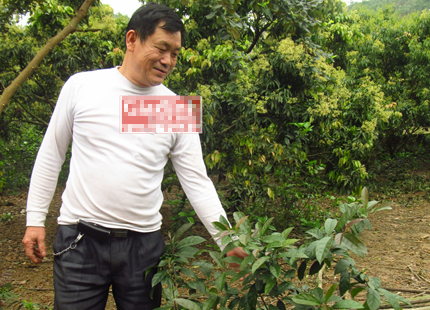Ông Gioỏng hướng dẫn một số dược vị được ông nhân giống (Ảnh: Gia đình và xã hội)
