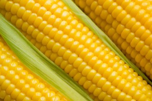 23371810corn2