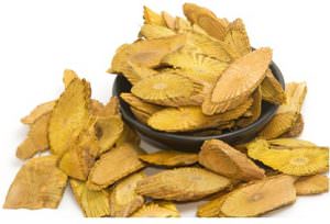 cây vàng đắng