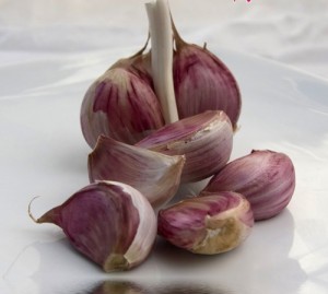 giam-can-nhanh-khi-dang-cho-con-bu_2(2)