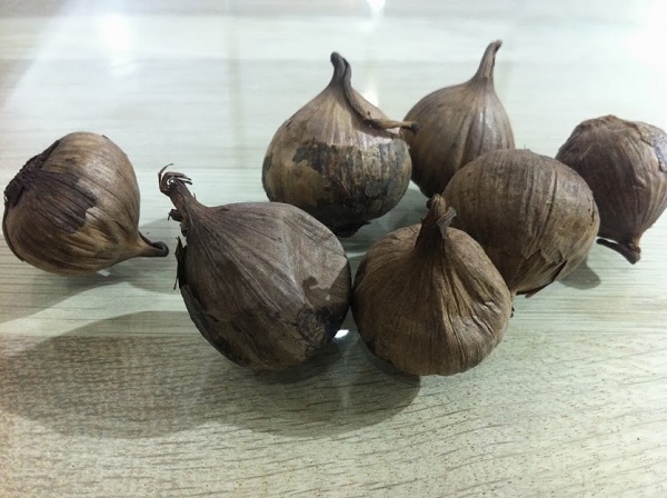 Tác dụng chống ung thư