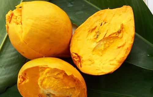 Các phương pháp giải độc gan tự nhiên