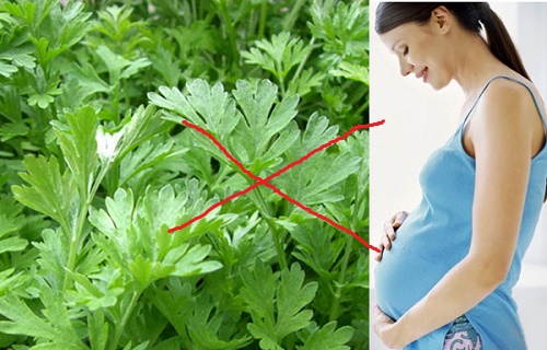 Các loại rau bà bầu không nên ăn