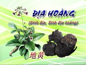 221113_082818sinh_dia_hoang