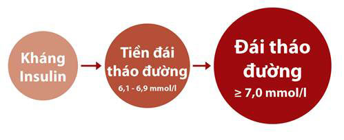 5 Nhóm thuốc điều trị bệnh đái tháo đường