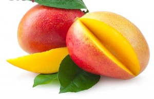 mangoimagefree3_copy