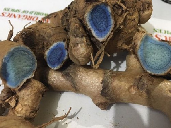 5 Công dụng hữu ích của nghệ đen trong làm đẹp da cho phụ nữ trẻ