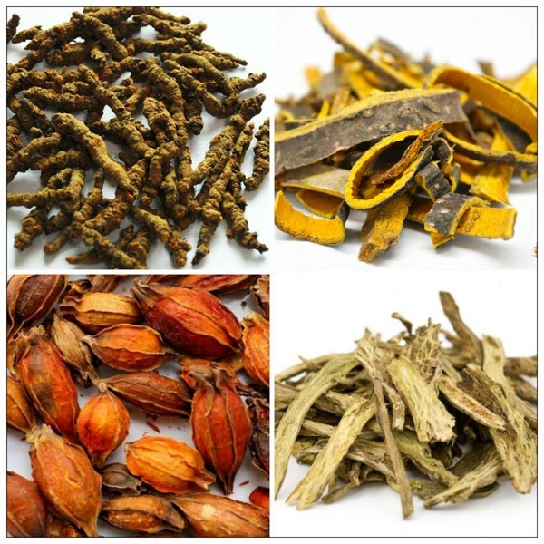 Đông y chữa bệnh ở hầu- họng