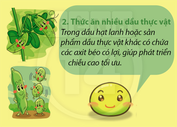 120826gtchieucao03-53bd6