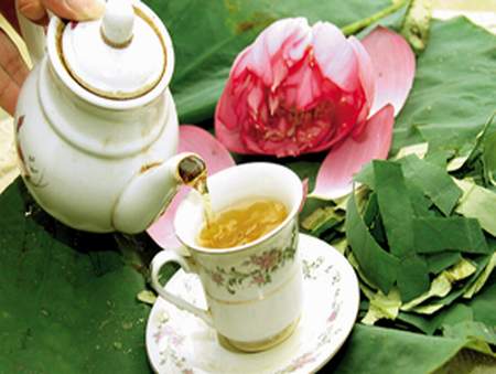 Dược thiện cho người bị động thai 3 Dược thiện cho người bị động thai 3