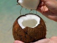 Nguy hiểm không ngờ từ nước dừa nếu dùng không đúng