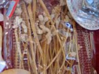 Độc chiêu lừa trong thế giới mãng xà