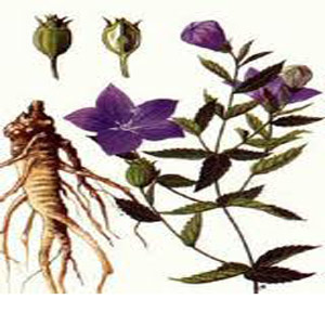 sam-linh-bach-truat-tan