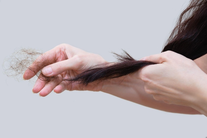 Dùng lá bưởi, lá sả hay lá trầu không đun nước gội đầu giúp giảm rụng tóc.