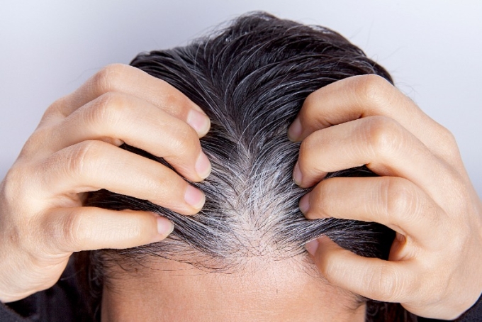 Độ đậm nhạt màu tóc phụ thuộc hoàn toàn vào quá trình sản xuất melanin liên tục của các tế bào hắc tố trong nang tóc. Khi có nhiều melanin, tóc sẽ đen nhánh. Ngược lại, khi ít melanin hơn, tóc sẽ chuyển sang màu xám và khi thiếu hụt hoàn toàn, tóc sẽ chuyển thành màu trắng.